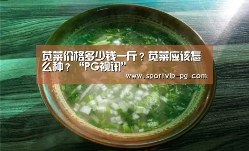 苋菜价格多少钱一斤?苋菜应该怎么种?“PG视讯”(图2) PG入口