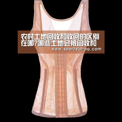 农村土地回收和收回的区别在哪?哪些土地会被回收和收回?“PG下载”(图2) PG足球