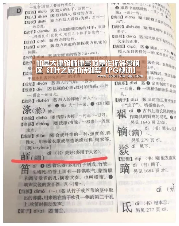 PG下载