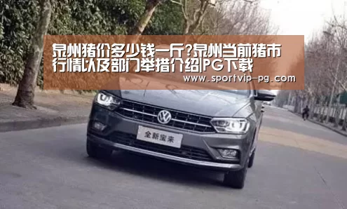 PG下载