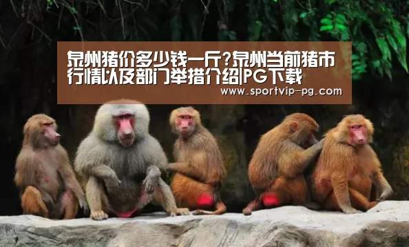 PG视讯