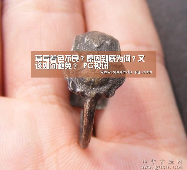 PG足球