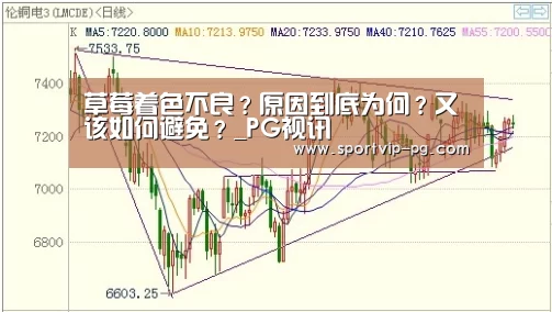 PG足球