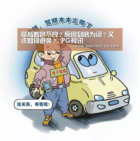 PG足球