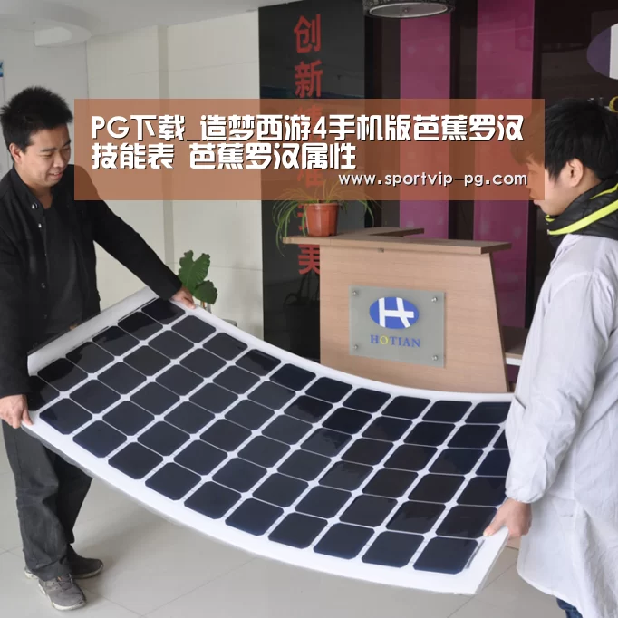 PG下载