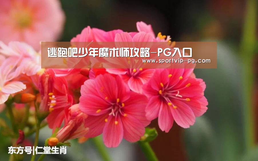 PG下载