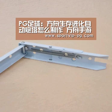 PG足球