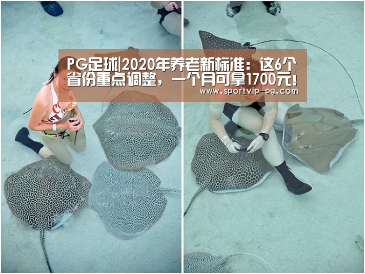 PG足球|2020年养老新标准:这6个省份重点调整,一个月可拿1700元!(图4) PG下载