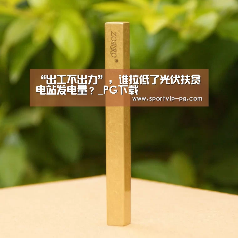 “出工不出力”，谁拉低了光伏扶贫电站发电