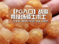 【PG入口】战歌竞技场骑士术士阵容搭配 6骑2术阵容推荐(图1) PG入口