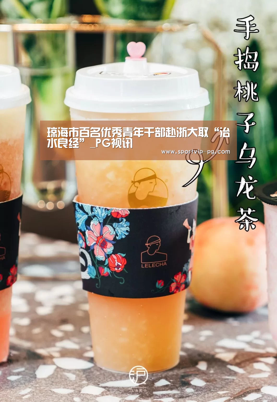 琼海市百名优秀青年干部赴浙大取“治水良经”_PG视讯(图1) PG足球