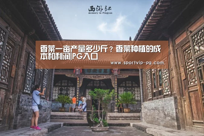 香菜一亩产量多少斤?香菜种植的成本和利润|PG入口(图1) PG入口