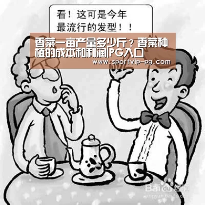 香菜一亩产量多少斤?香菜种植的成本和利润|PG入口(图2) PG足球