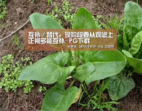 互补≠替代,现阶段要从观念上正视多能互补-PG下载(图1) PG视讯