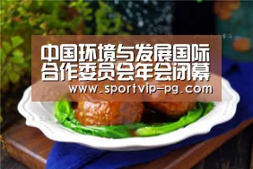 中国环境与发展国际合作委员会年会闭幕“PG入口”(图1) PG下载