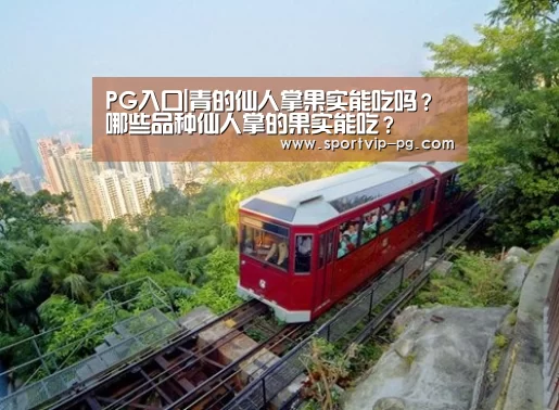 PG下载